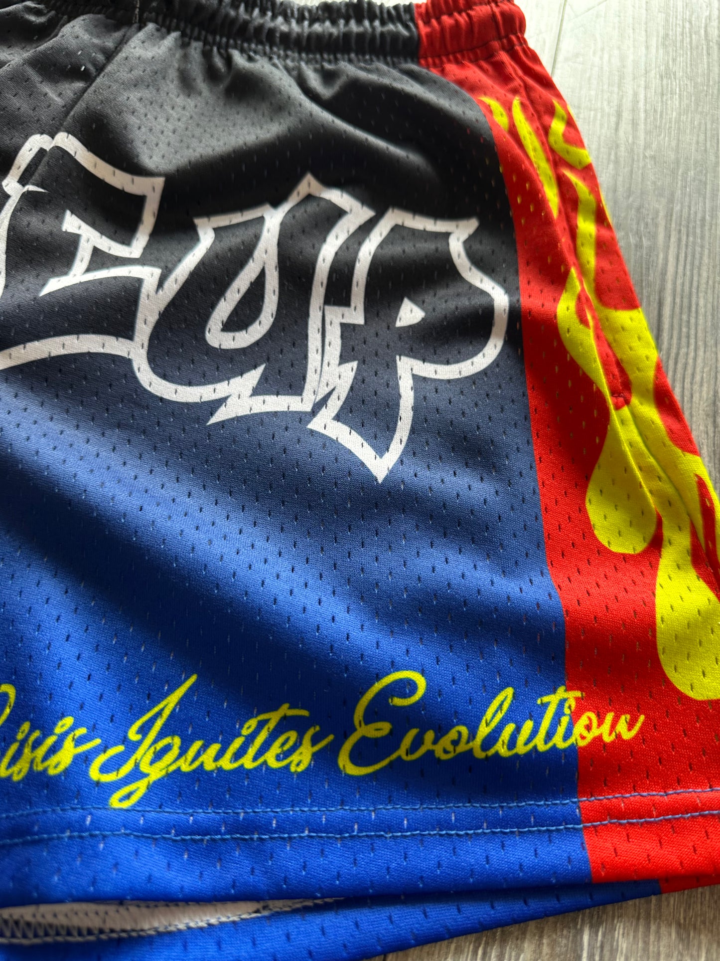 Crisises Ignites Evolution 5' Mesh Shorts